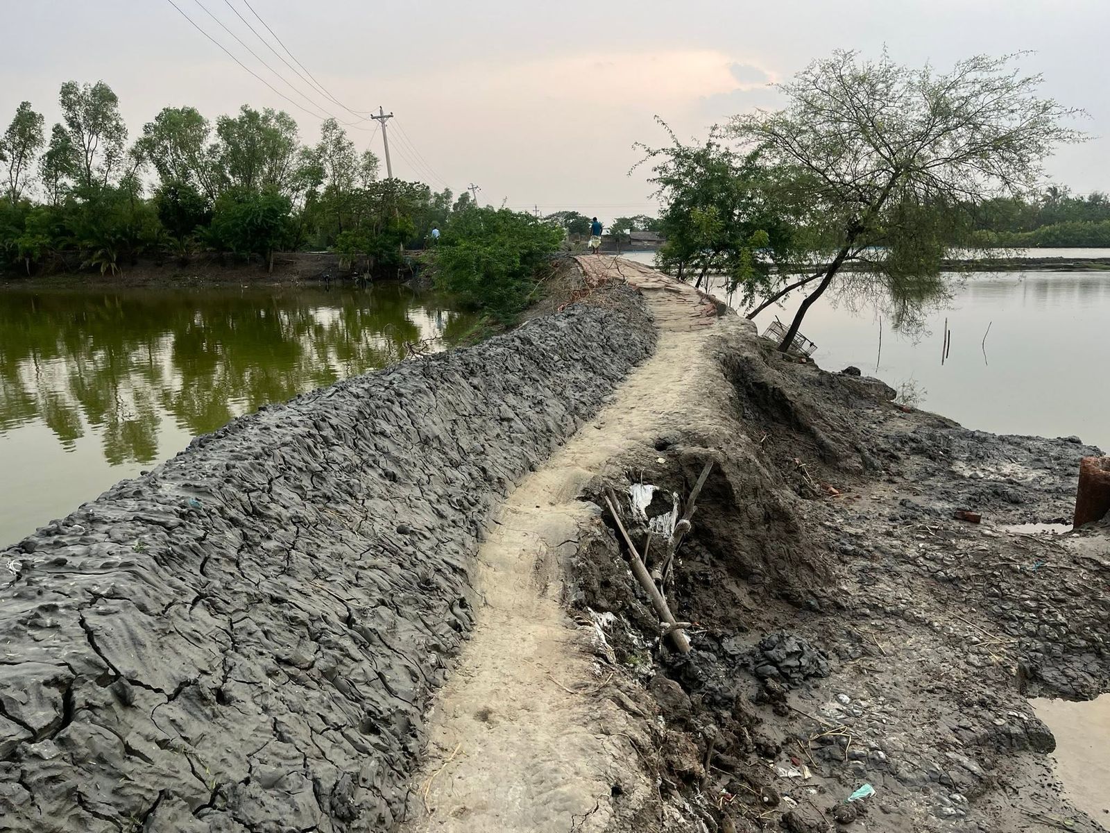 An earthen embankment between two stretches of water in Satkhira, coastal Bangladesh