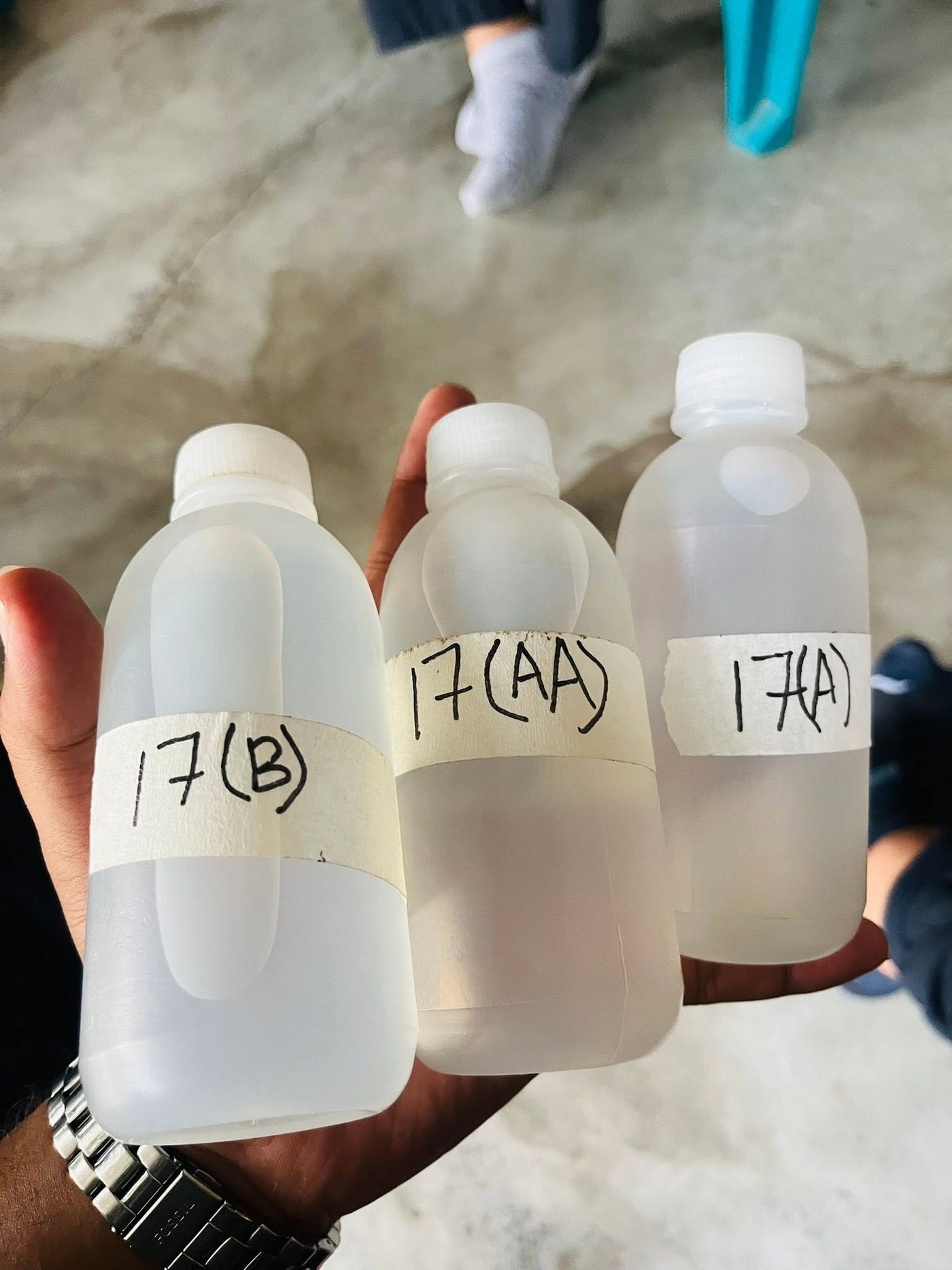 Three labelled water sample bottles held in a hand